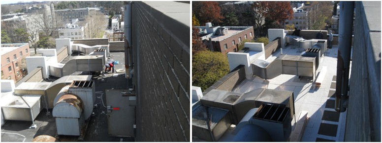 roof audit consulting