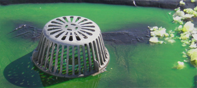 commercial roof leak investigation