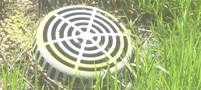 commercial roof maintenance program